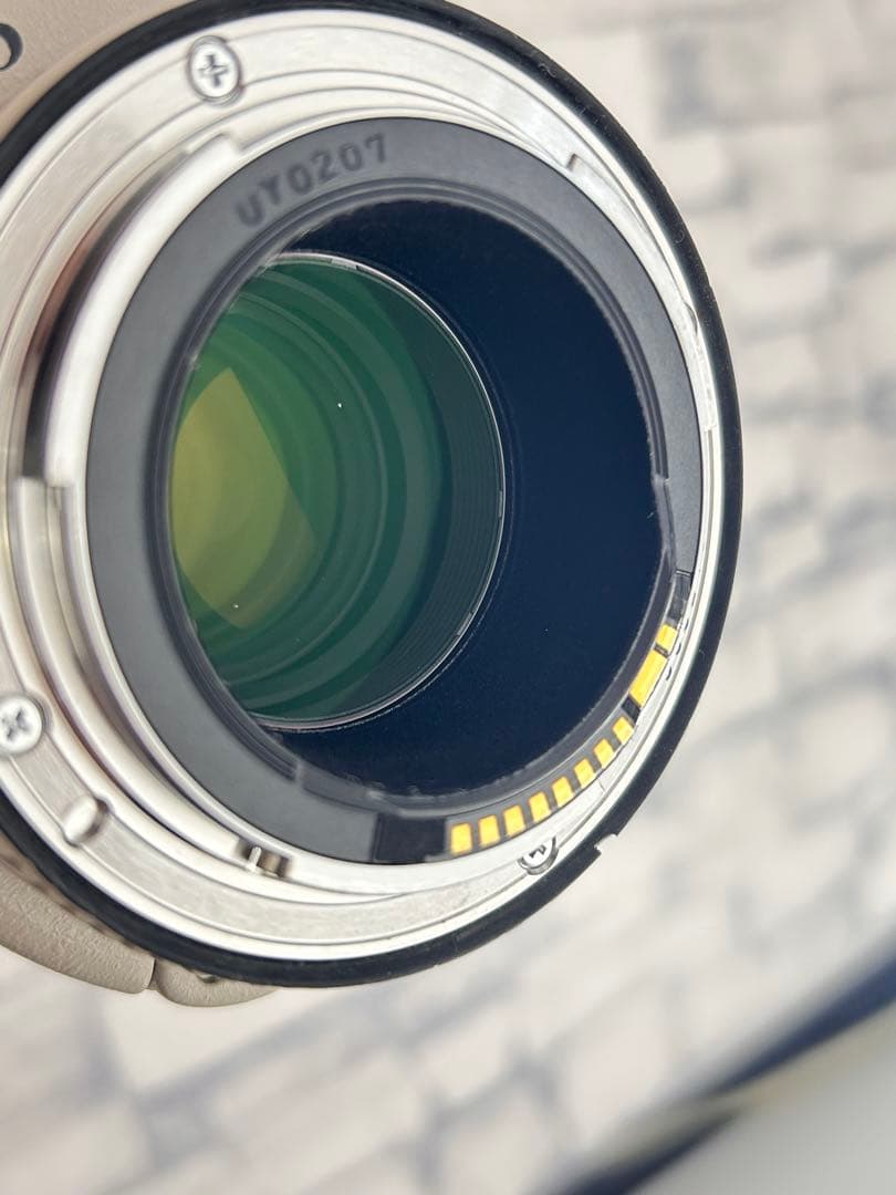 Canon EF 70-200mm f4L IS USM エクステンダーセット