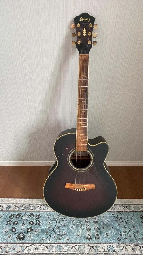 Ibanez AEL125ERD エレアコ ブラック