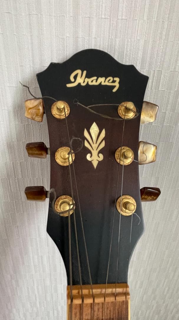 Ibanez AEL125ERD エレアコ ブラック