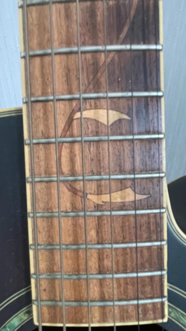 Ibanez AEL125ERD エレアコ ブラック