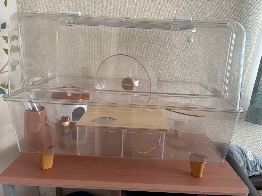 BUCATSTATE 飼育セット