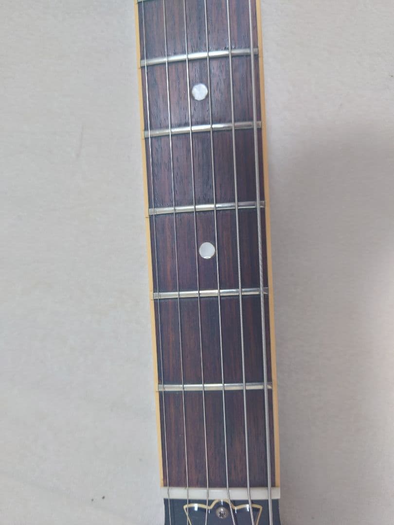 ギター GibsonLespaulSpecialLimitedEdition(1996)