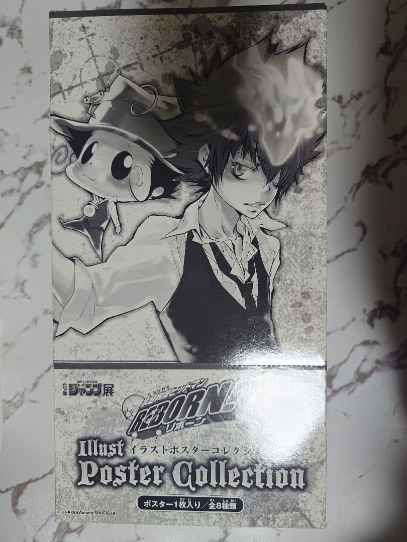 【レア】家庭教師ヒットマンREBORN! イラストポスターコレクション