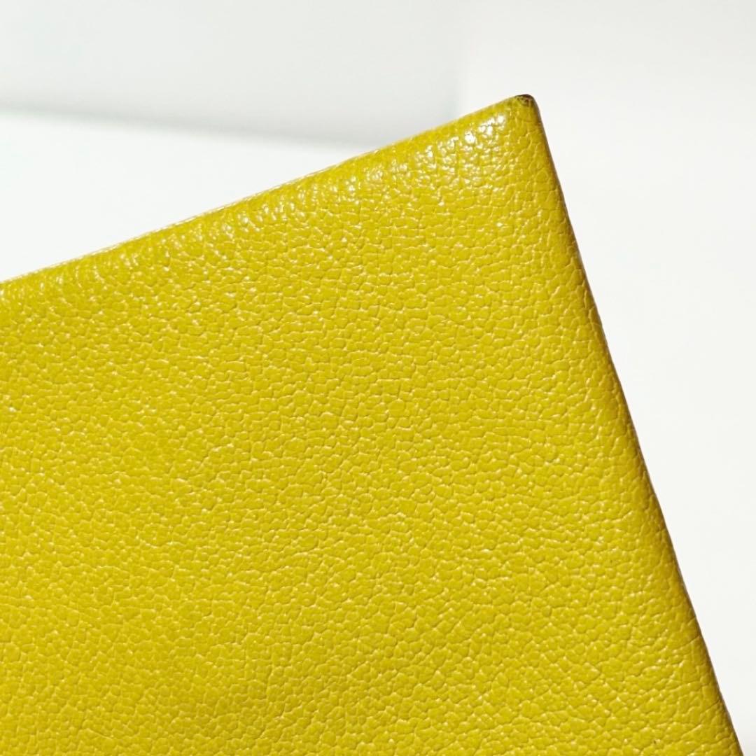 HERMÈSバスティア Bastia マイソールゴートスキン ケース