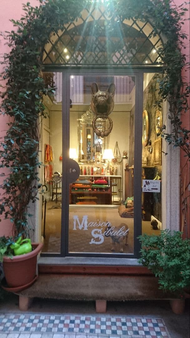 レザー緑ピンクハーネス