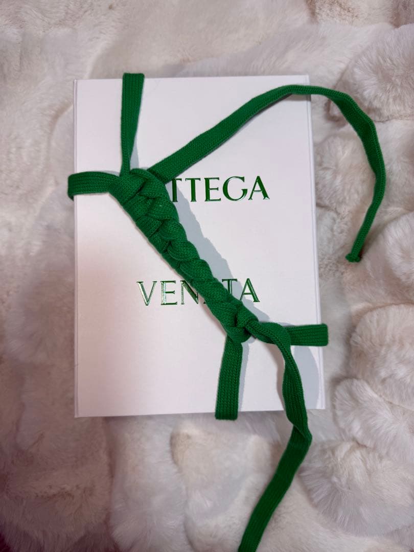 BOTTEGA VENETA iPhone16promaxケース（ライトブルー）