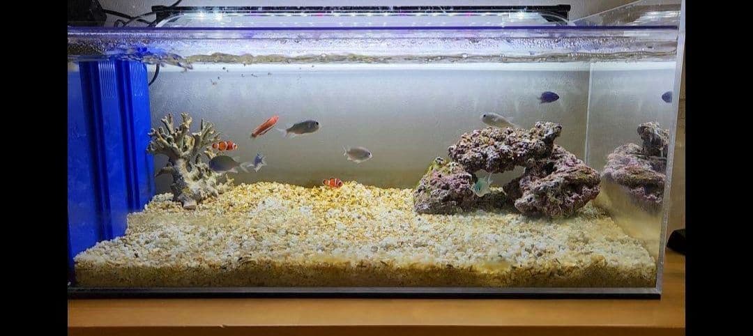 日海センター　かんたん槽NK-90