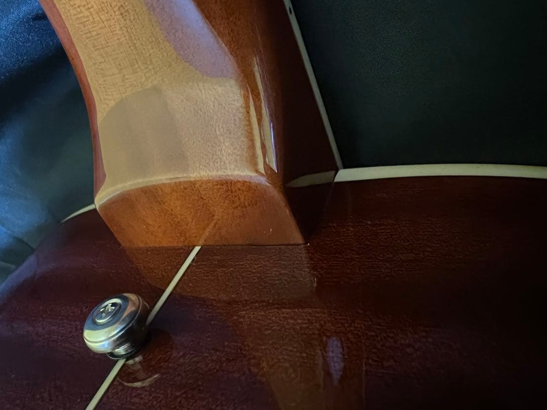 超レア　EKO 5 RANGER Ⅶ VR EQ 12弦　エレアコ　ほぼ未使用