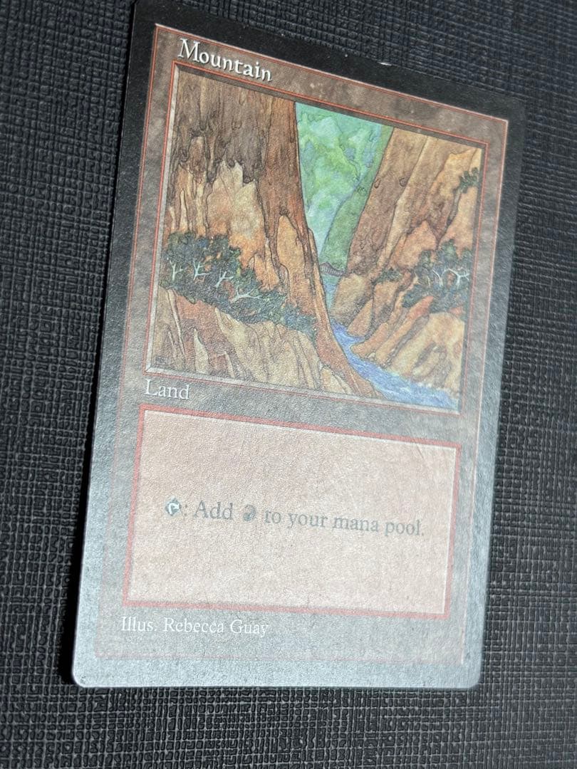 APACランド山25枚