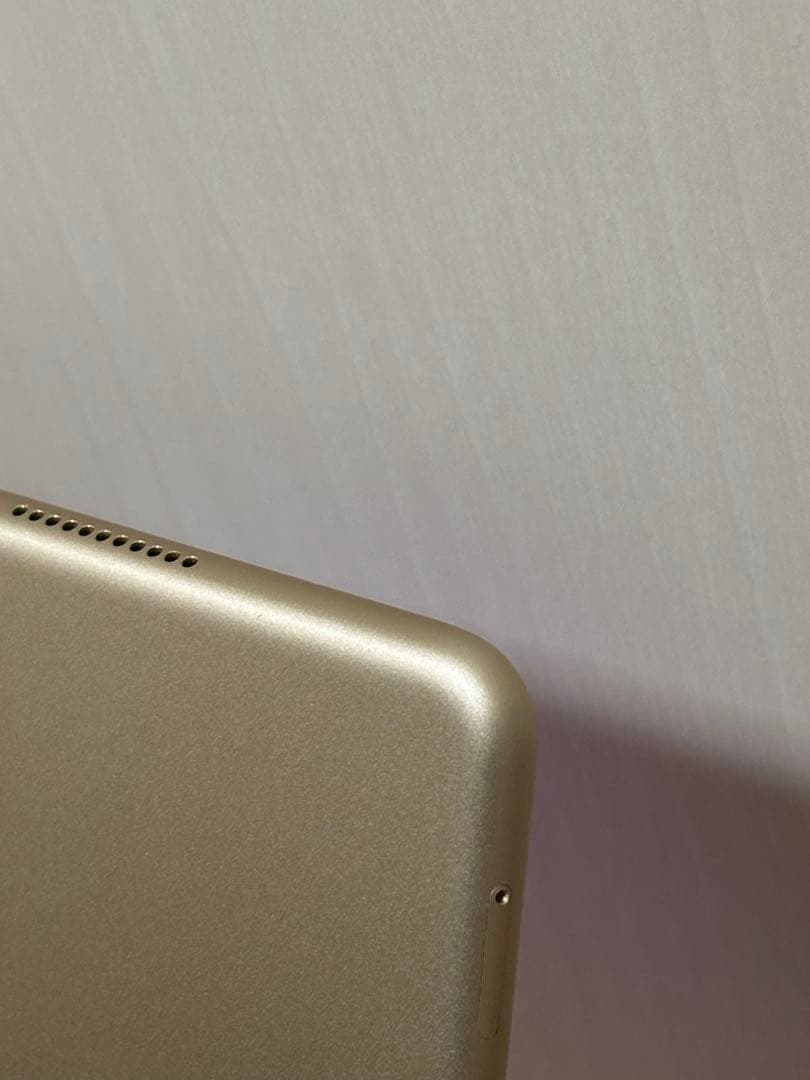 iPad Pro 10.5インチ 256GB ゴールド