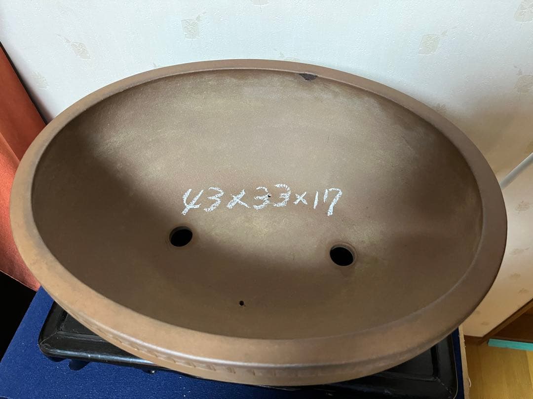 100 盆栽　盆栽鉢　植木鉢　中国鉢