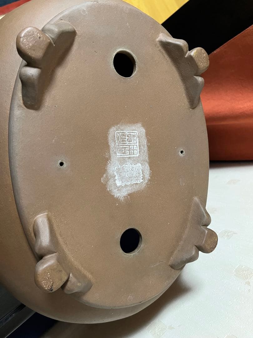 100 盆栽　盆栽鉢　植木鉢　中国鉢