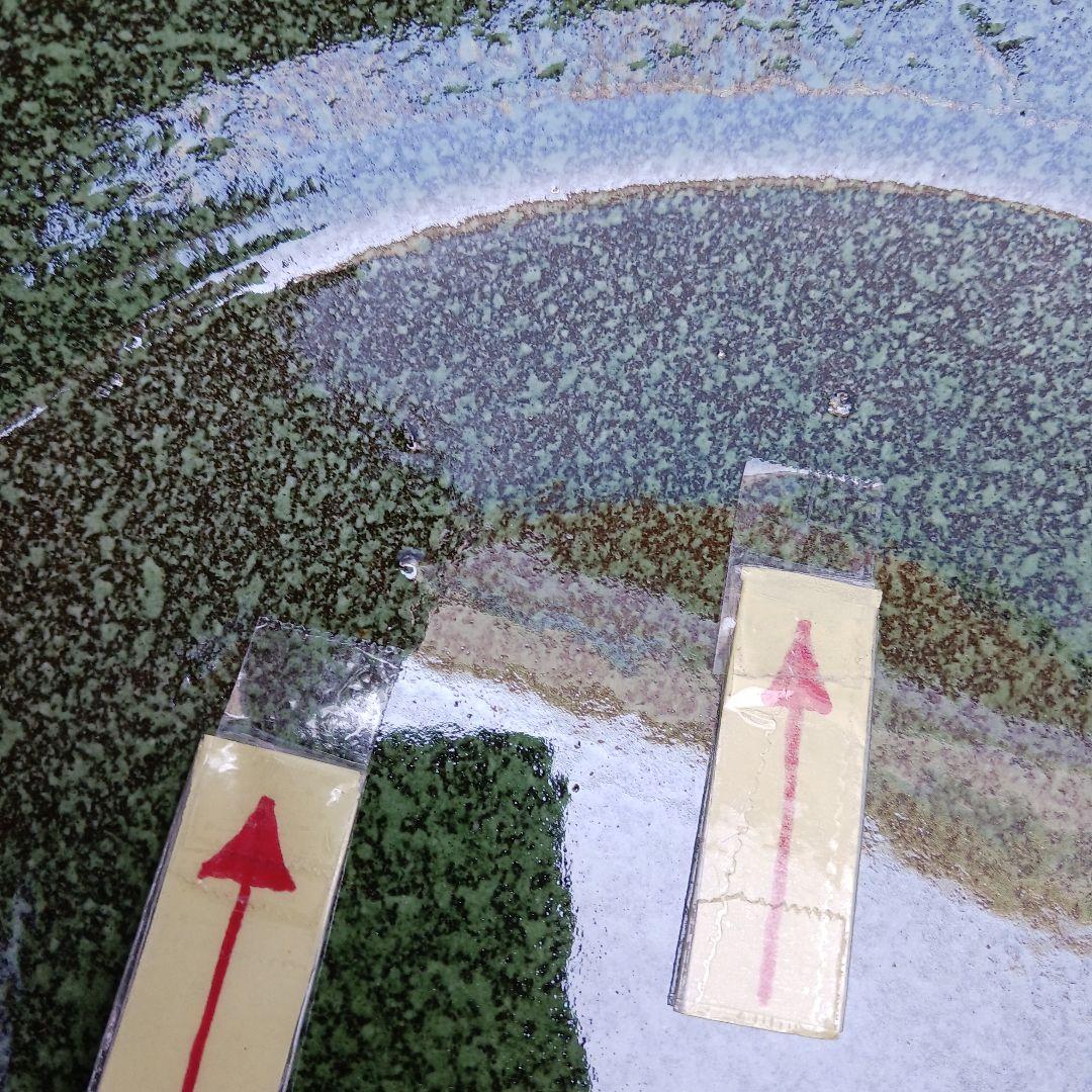 新品　特大50　陶器睡蓮鉢　メダカ鉢　難有　エメラルドグリーン　緑黒　高級LBK