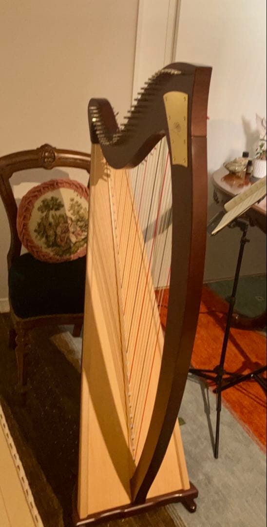 超美品 LION & HEALY オグデン アイリッシュハープ 銀座十字屋