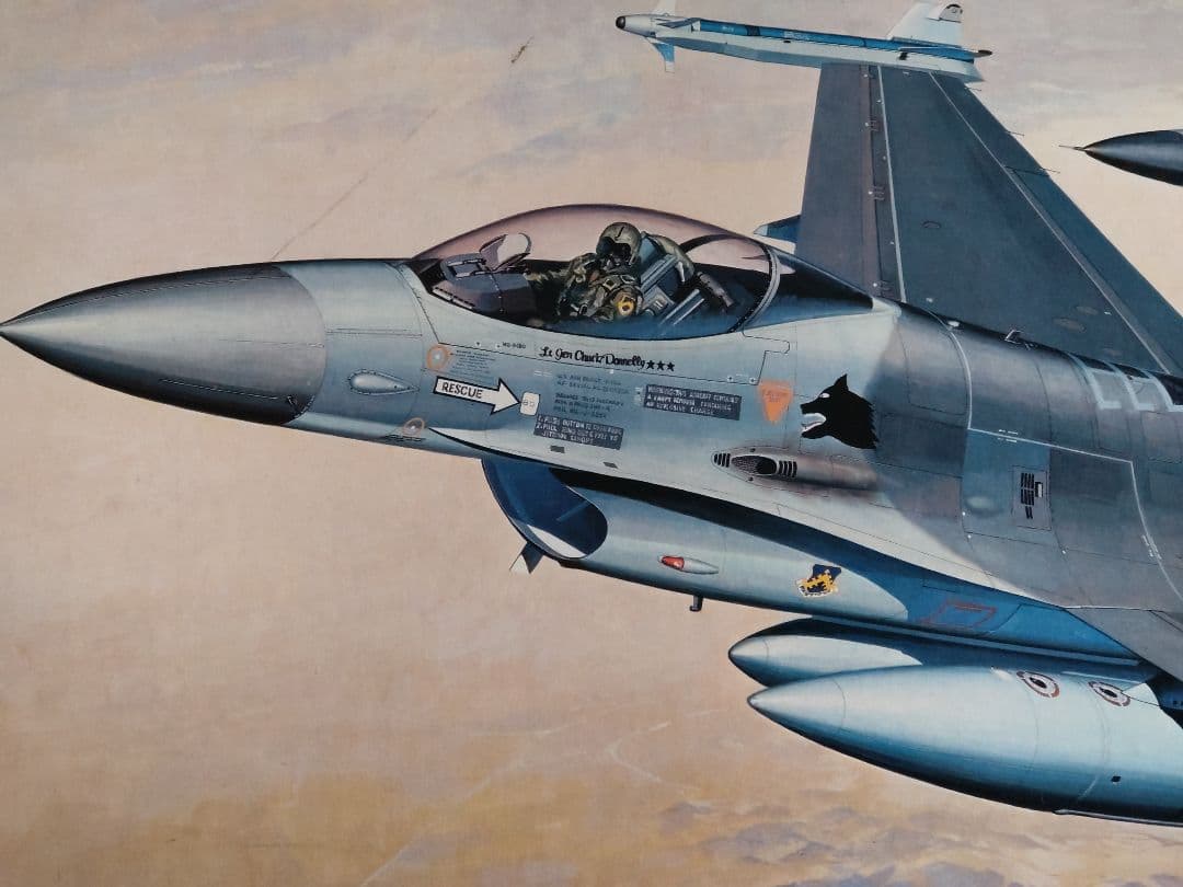 【ハセガワ】デラックスシリーズ F-16Aファイティングファルコン