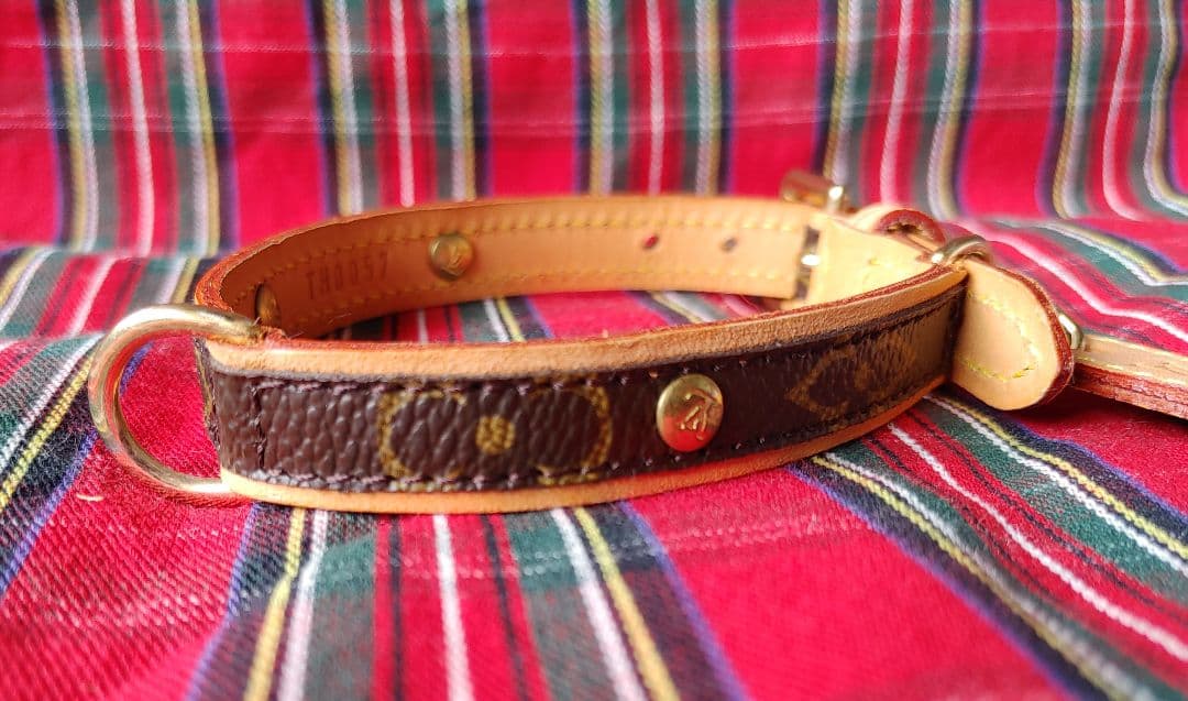 ルイヴィトン★カラー&リード★美品