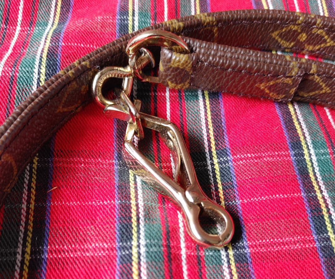 ルイヴィトン★カラー&リード★美品