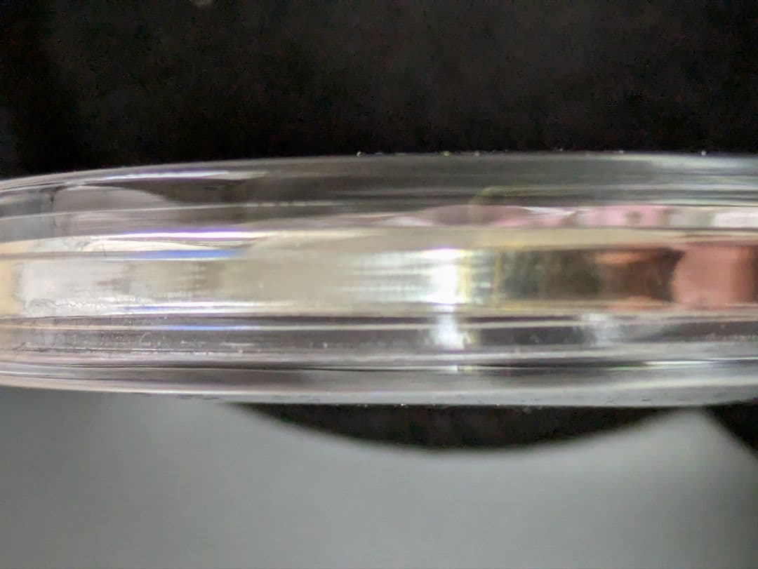 バルバトス　ダイアナ妃　2オンス純銀