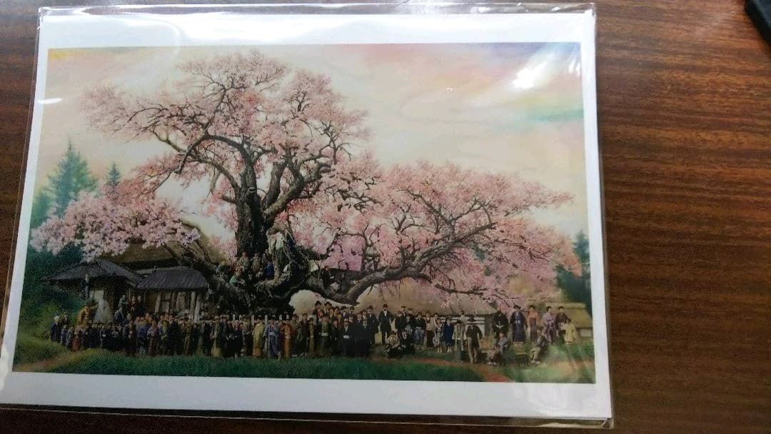 明治40年の神代桜 ポストカード