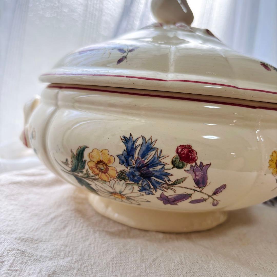 【希少】ディゴワン サルグミンヌ アグレスト レギュミエ