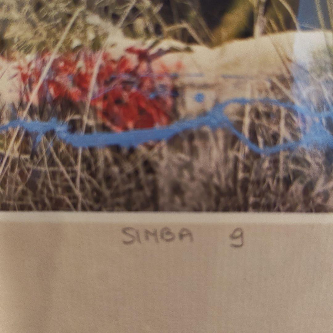 Ｉ'm not a trophy sinba 9　アート作品