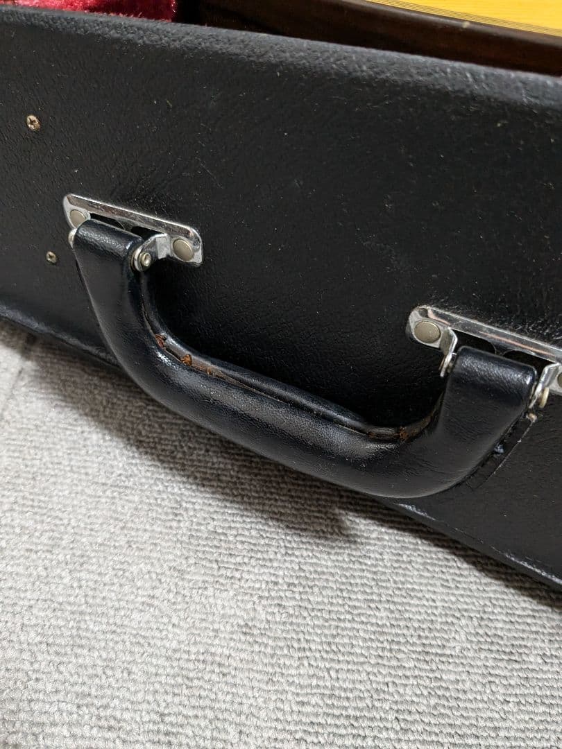 藤丸常夫 マンドリン ハードケース付き