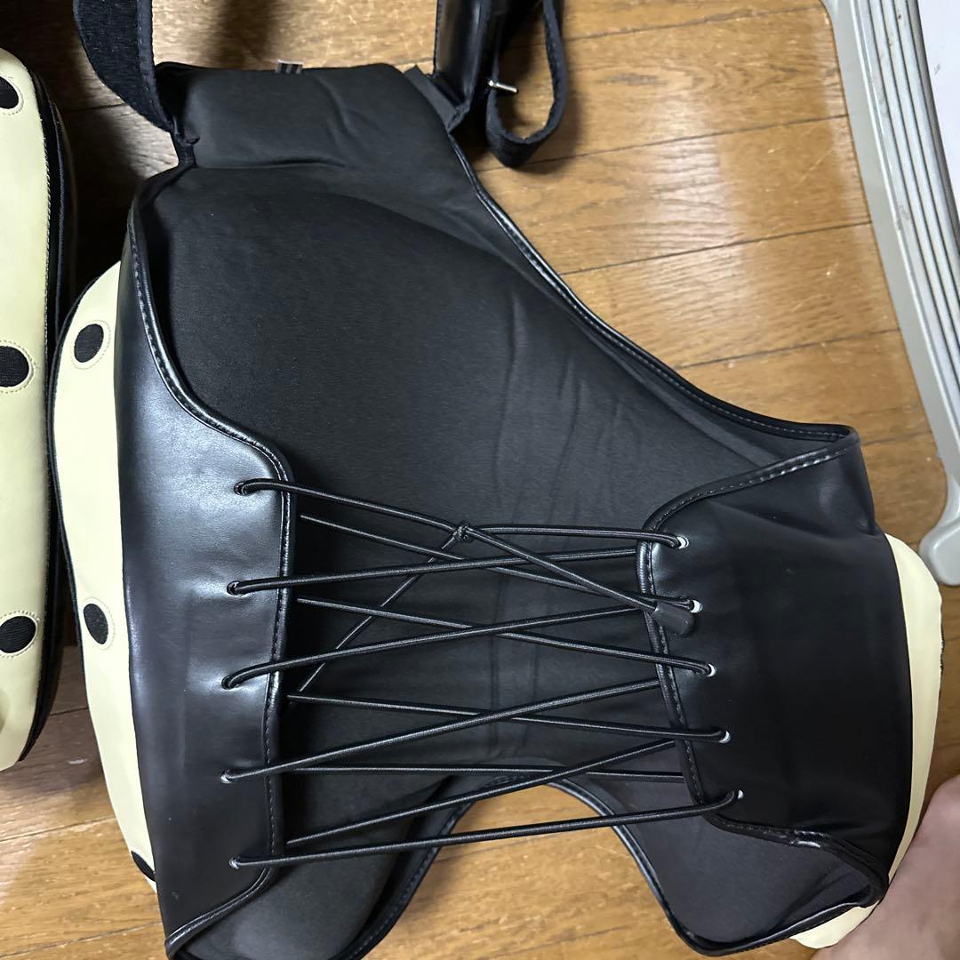 フェアテックス　Fairtex ローキックパッドプロテクター左右セット