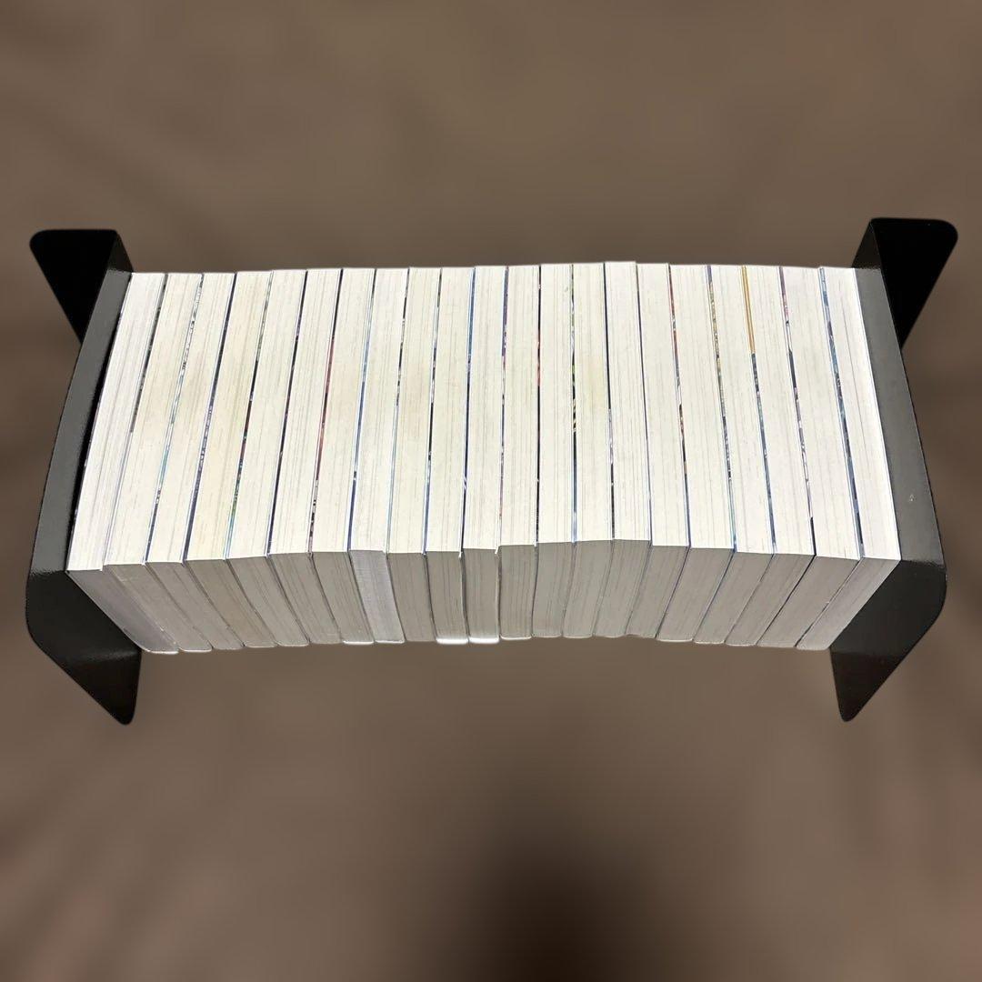 公女殿下の家庭教師 全巻 0-20巻 七野りく 小説 ラノベ 初版本多数