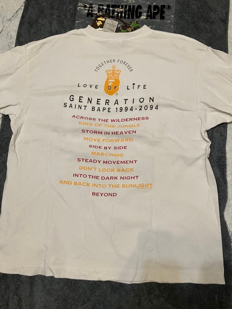 美品セントマイケルエイプtシャツ