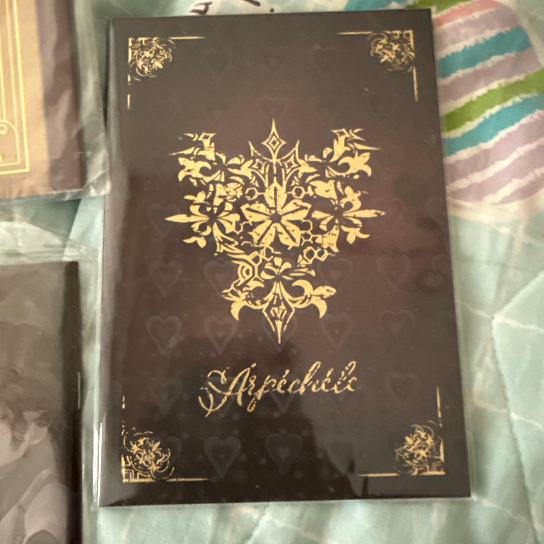 終遠のヴィルシュ 小冊子 特典