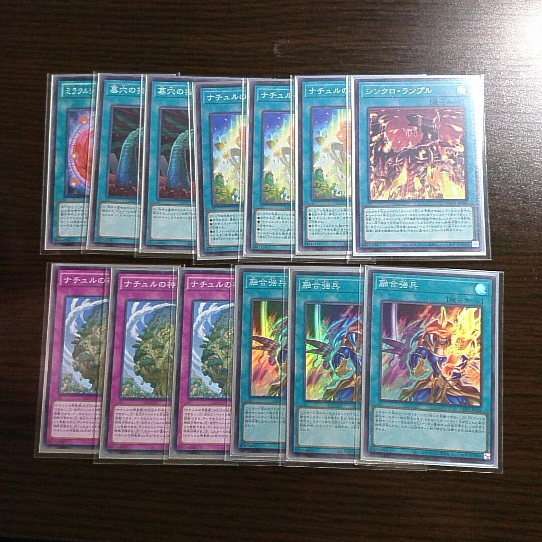 遊戯王【ナチュル】デッキ 地霊使いアウス スリーブ付.