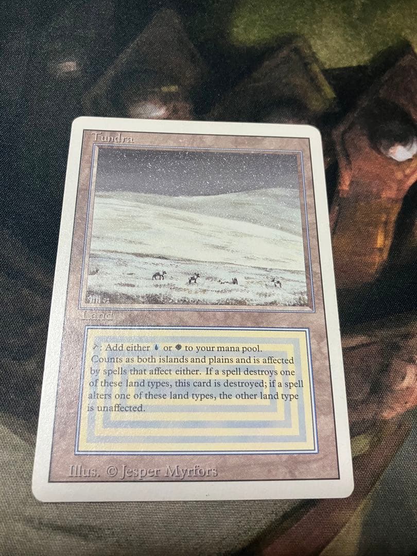 マジック：ザ・ギャザリング Tundra mtg