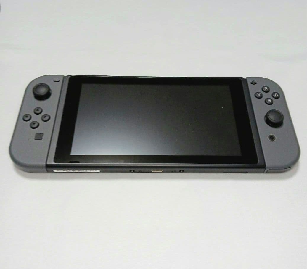 Nintendo Switch 本体一式 / ケース コントローラー付き