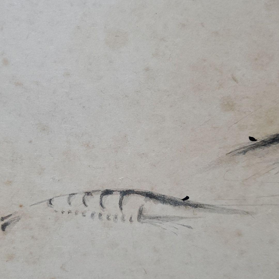 十一代目市川團十郎　九代目市川海老蔵　海老図　歌舞伎　成田屋