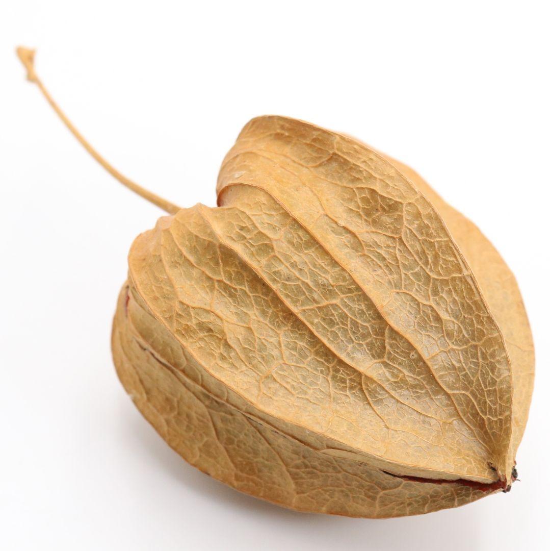 三代 中村尚濤済(喜太郎) 鬼灯 香合 乾漆 茶道具 共箱共布　rC799　N4