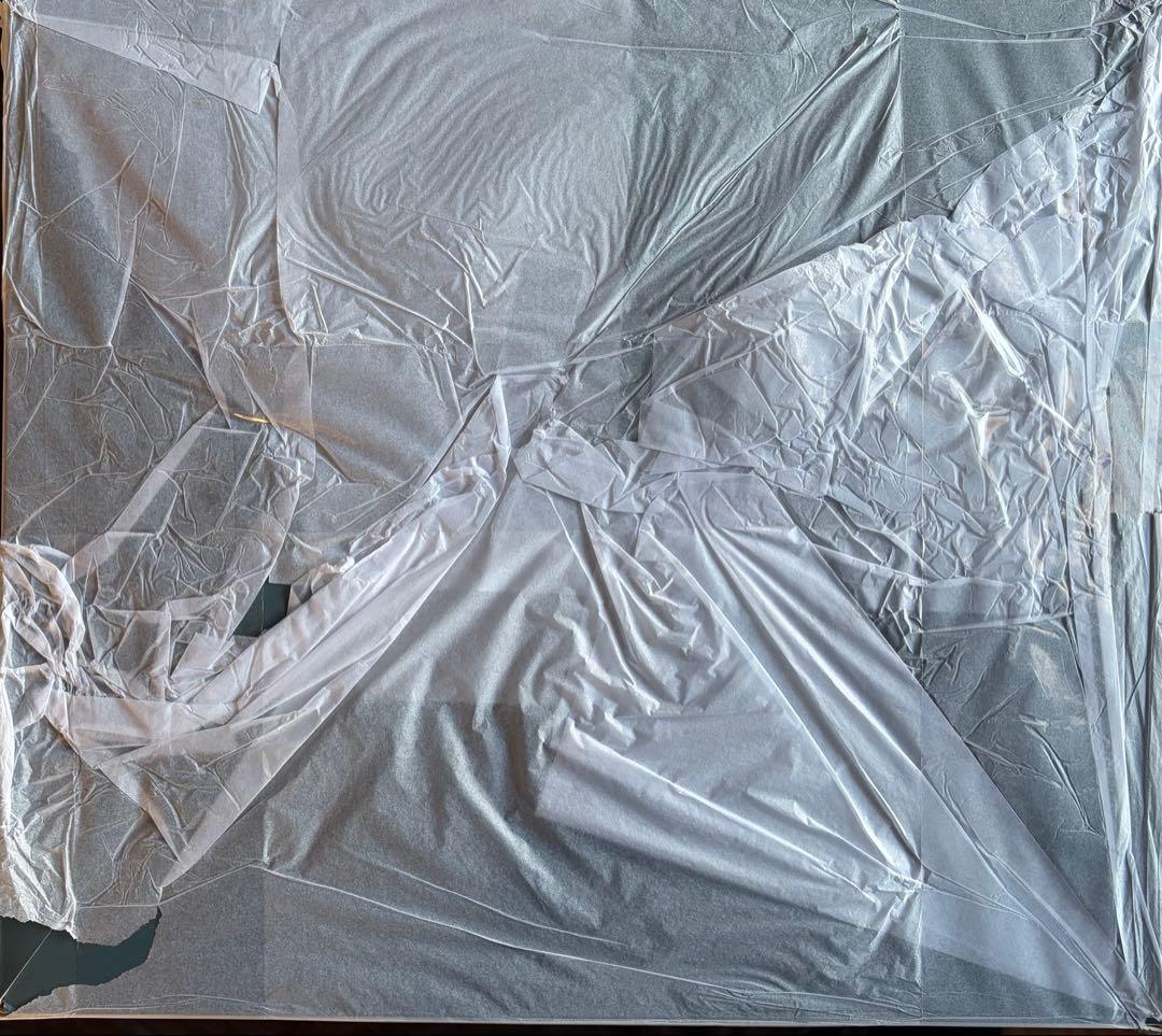 崩壊スターレイル 丹恒 飲月 フィギュア DX版 未開封 箱痛みあり