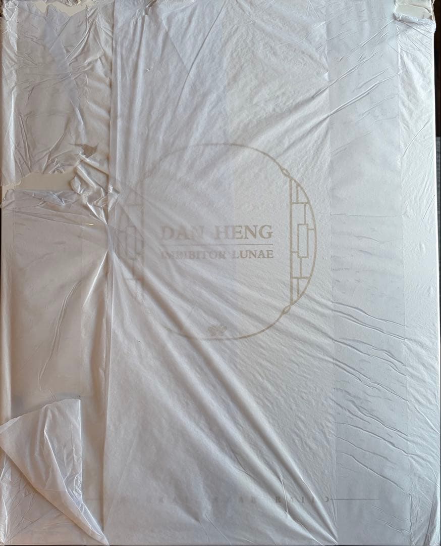 崩壊スターレイル 丹恒 飲月 フィギュア DX版 未開封 箱痛みあり