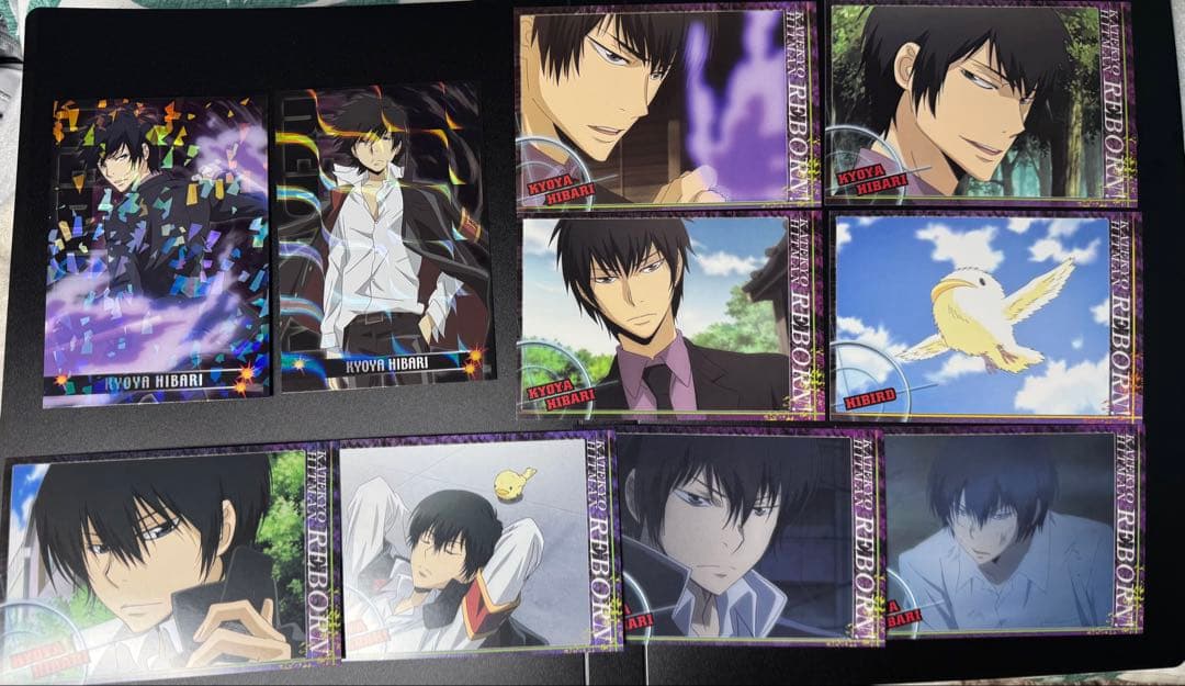 家庭教師ヒットマンREBORN！雲雀恭弥