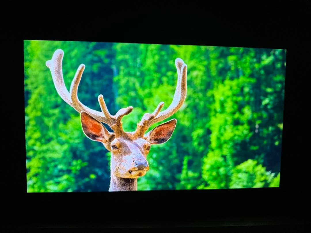 EWEI 15.6インチ 2K 144Hzモバイルモニター