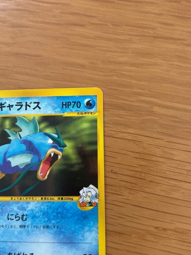 イブキシリーズ　セット売り