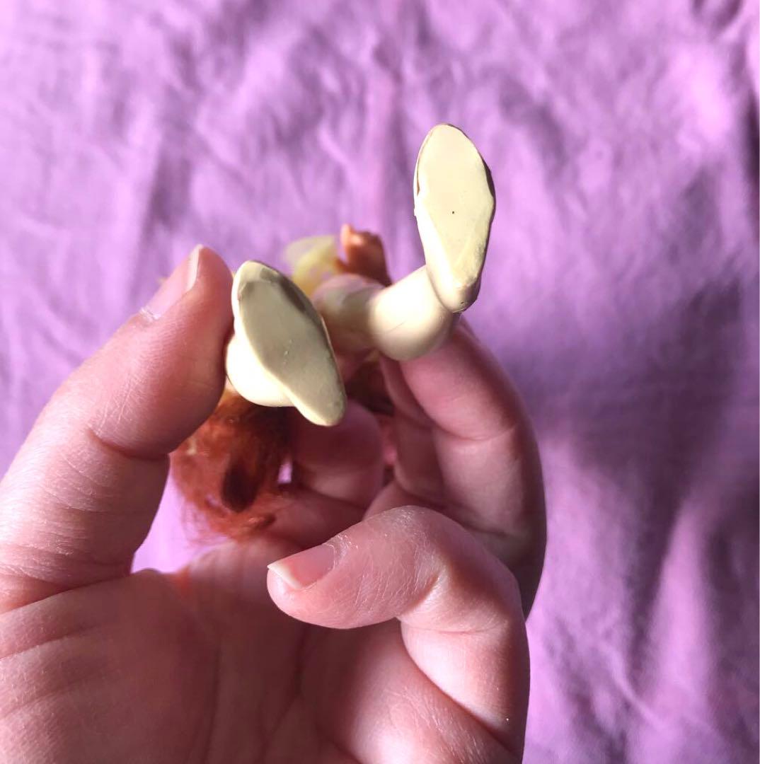 プリンセス・オブ・パワー シーラ アクションフィギュア