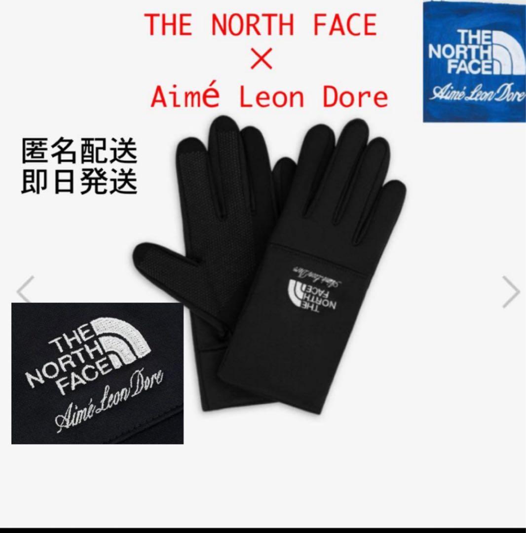 ノースフェイス エメレオンドレ イーチップグローブ　コラボ　グローブ