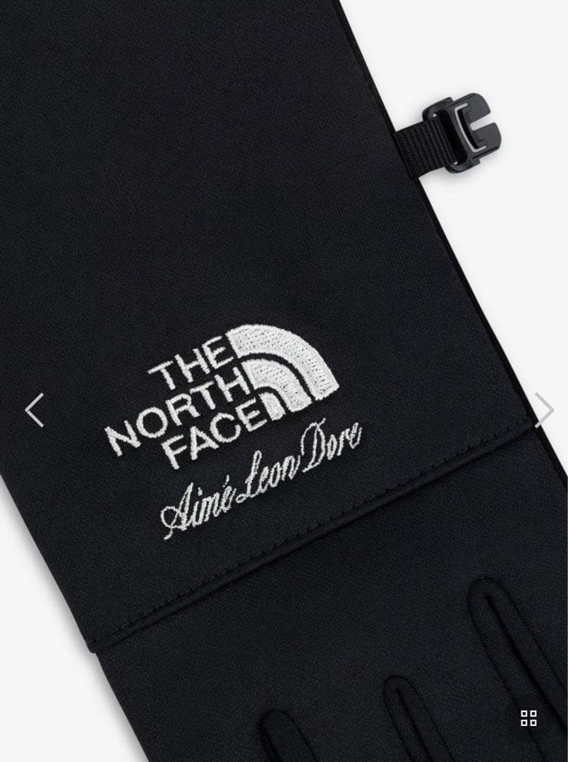 ノースフェイス エメレオンドレ イーチップグローブ　コラボ　グローブ