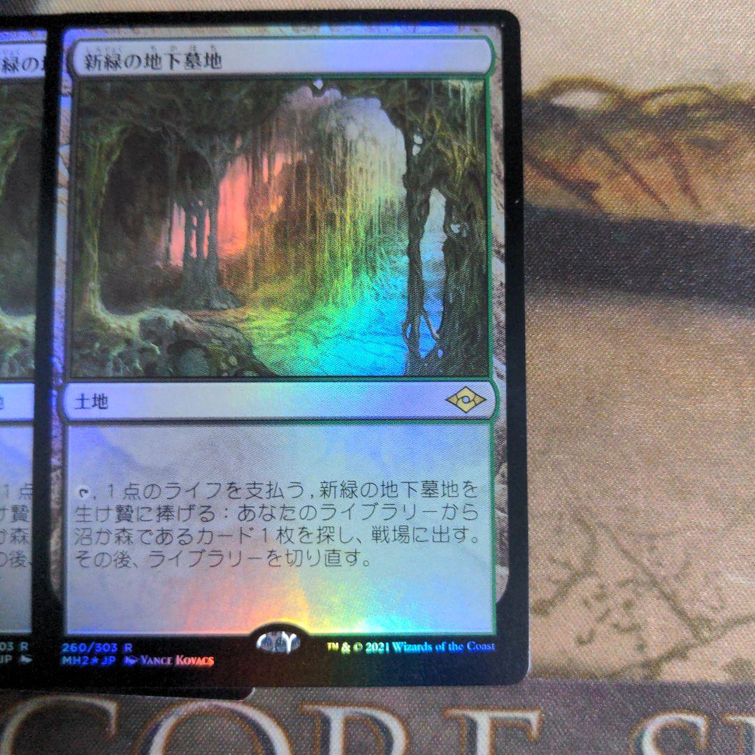 MTG　新緑の地下墓地/Verdant Catacombs　Foil　4枚