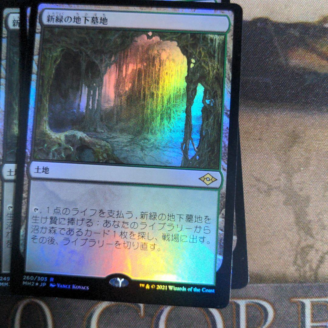 MTG　新緑の地下墓地/Verdant Catacombs　Foil　4枚