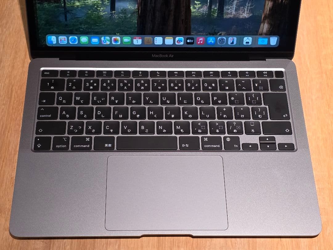 MacBook Air M1 8GB 1TB 13インチ ス 最大容量96%