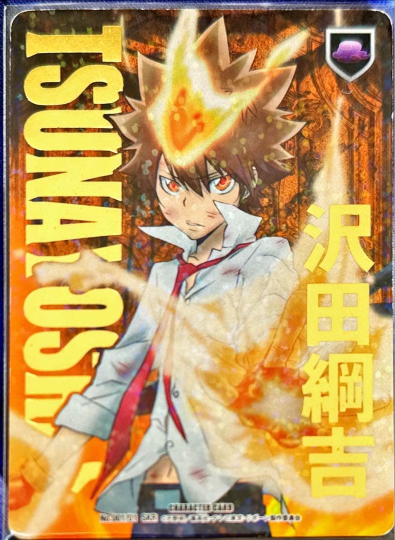 沢田綱吉 B01 超ツナ SKR 死ぬ気レア