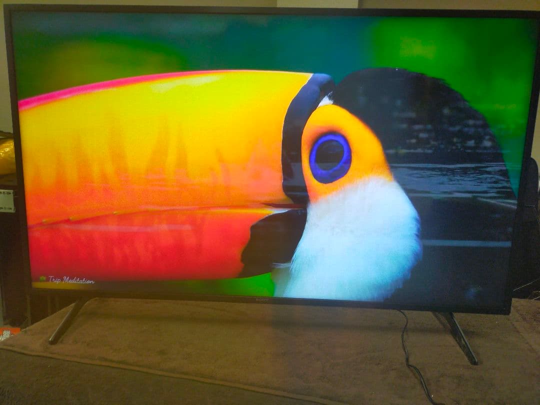 SONY BRAVIA KJ-55X8000H（2020年製）