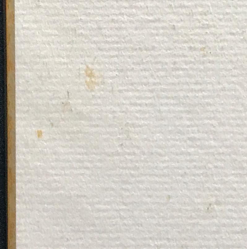 ☆ZARD 坂井泉水さん　歌手デビュー前　直筆「色紙」