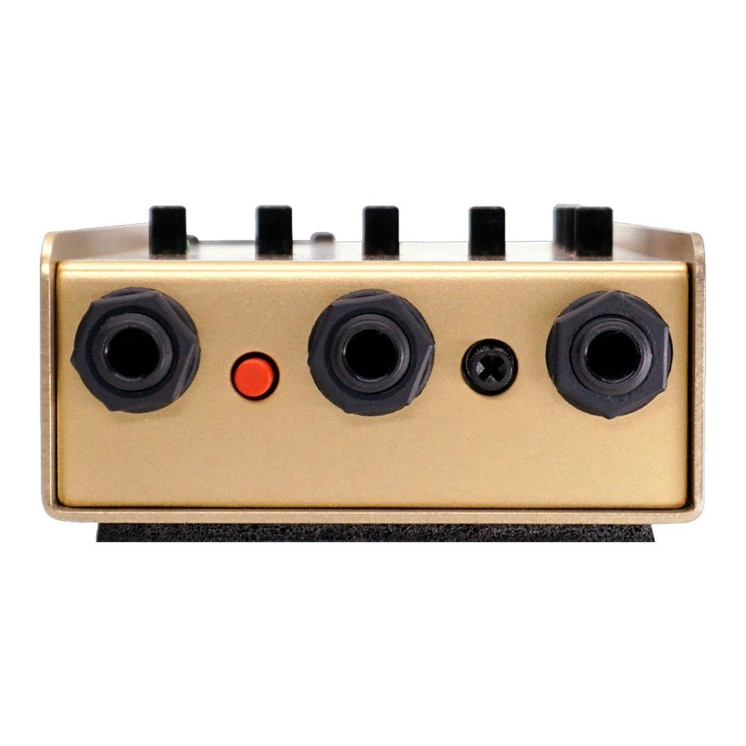 ギター L.R.Baggs 50th Anniversary Gold Para DI